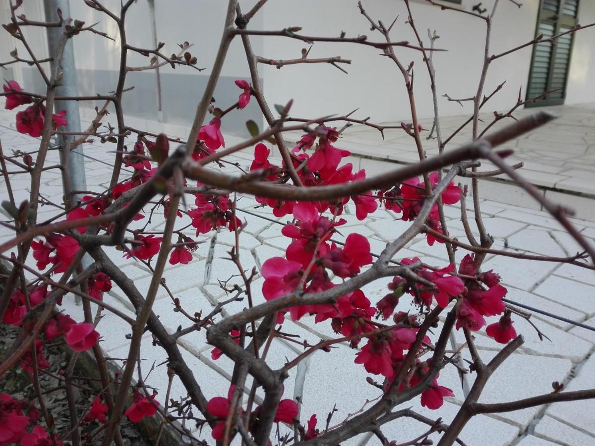 Kuca Za Odmor Maka Villa Kučiće Buitenkant foto