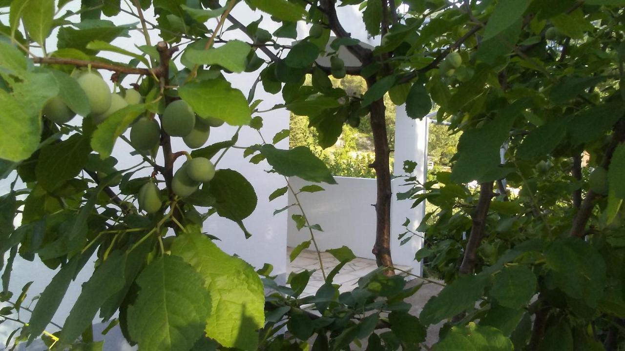 Kuca Za Odmor Maka Villa Kučiće Buitenkant foto