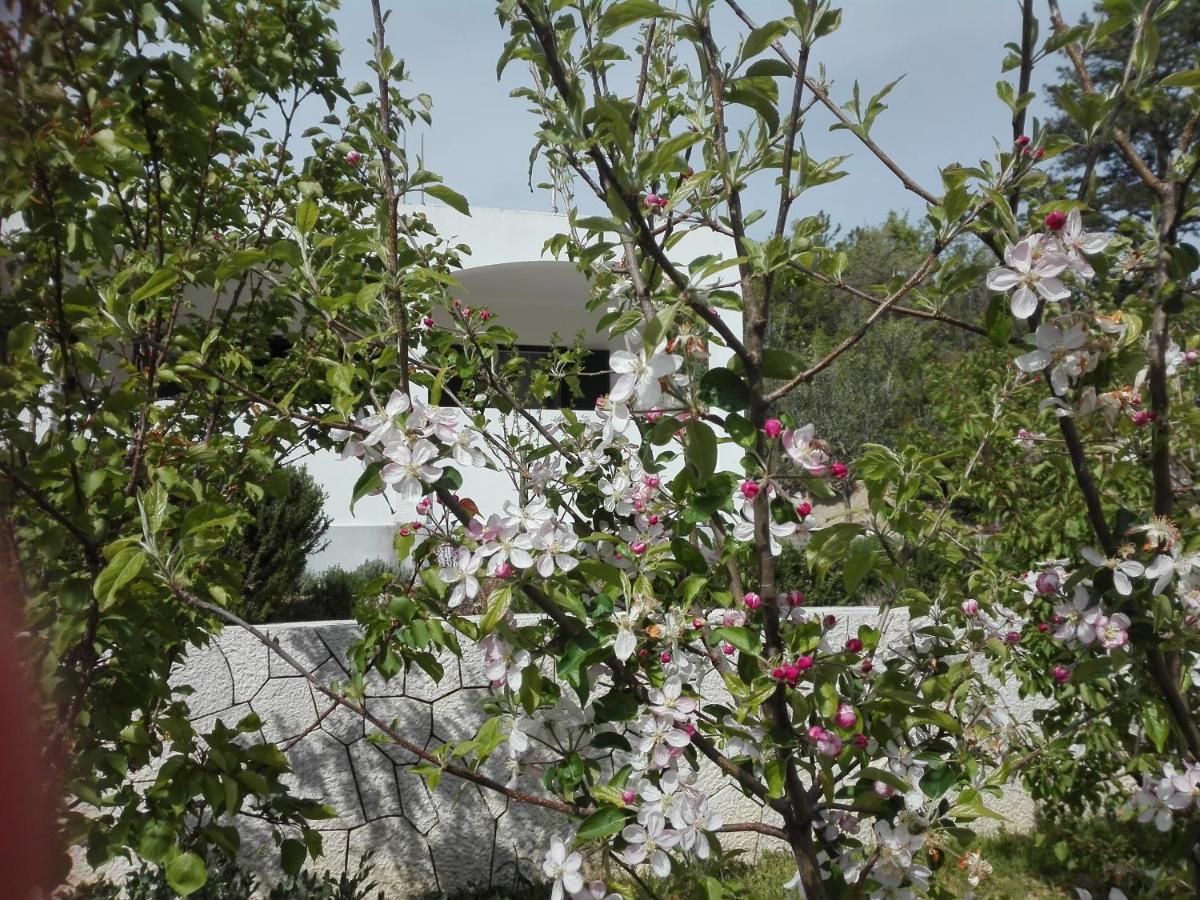 Kuca Za Odmor Maka Villa Kučiće Buitenkant foto