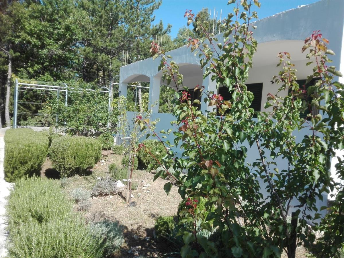 Kuca Za Odmor Maka Villa Kučiće Buitenkant foto